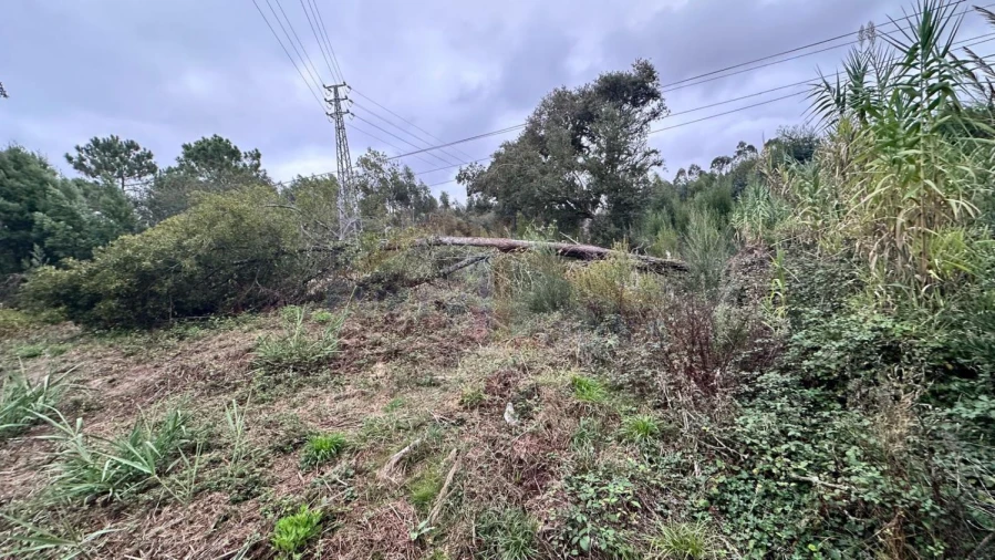 Terreno para Venda em Nossa Senhora do Pópulo, Coto e São Gregório Foto 12