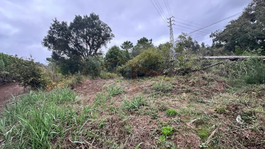 Terreno para Venda em Nossa Senhora do Pópulo, Coto e São Gregório Foto 13