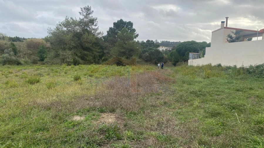 Terreno para Venda em Nossa Senhora do Pópulo, Coto e São Gregório Foto 19