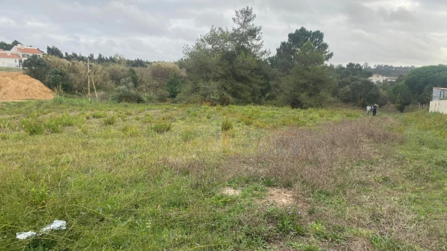 Terreno para Venda em Nossa Senhora do Pópulo, Coto e São Gregório Foto 18