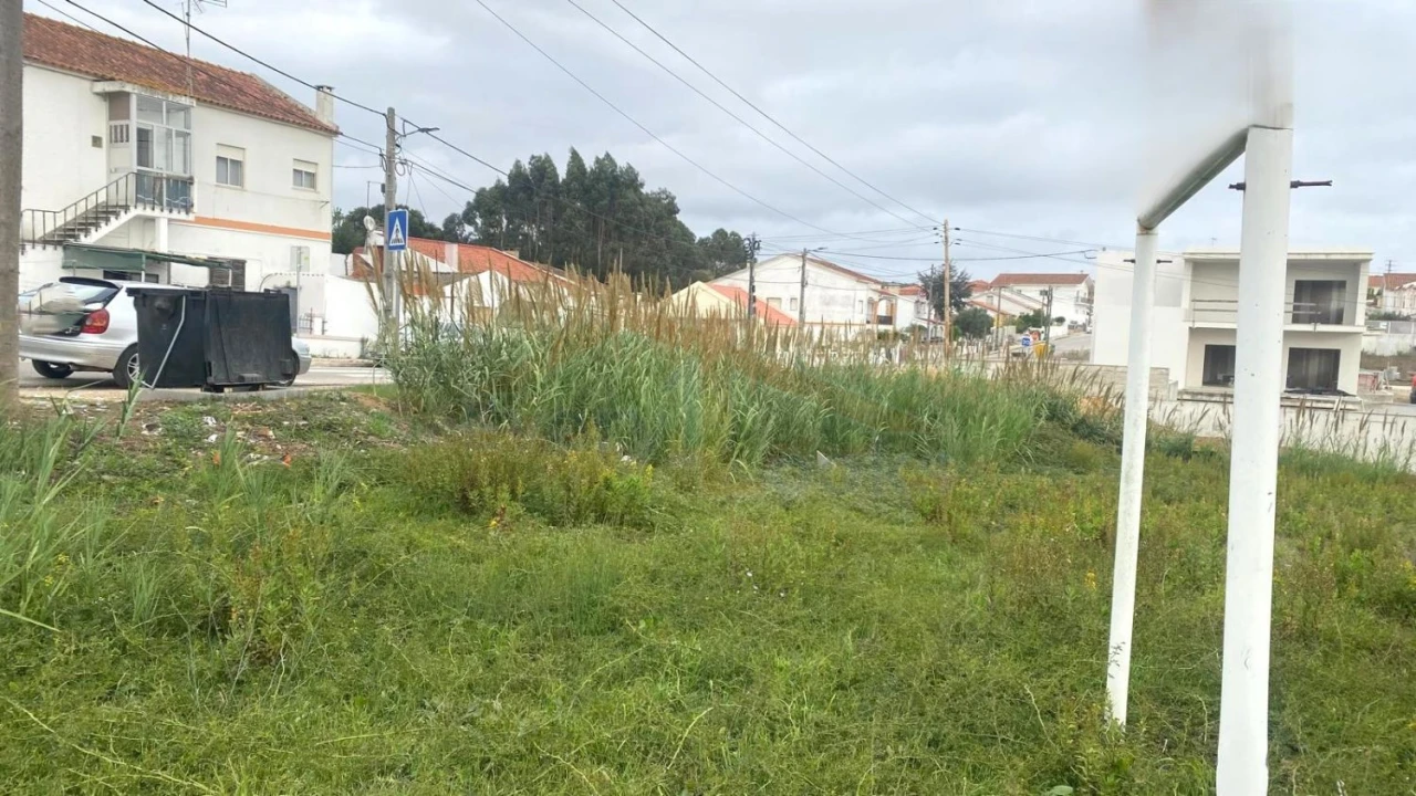 Terreno para Venda em Nossa Senhora do Pópulo, Coto e São Gregório Foto 26