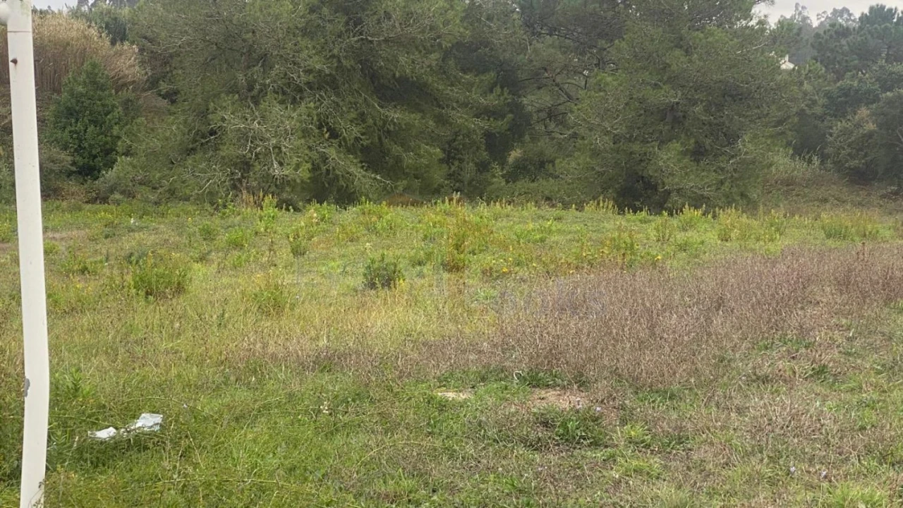 Terreno para Venda em Nossa Senhora do Pópulo, Coto e São Gregório Foto 23