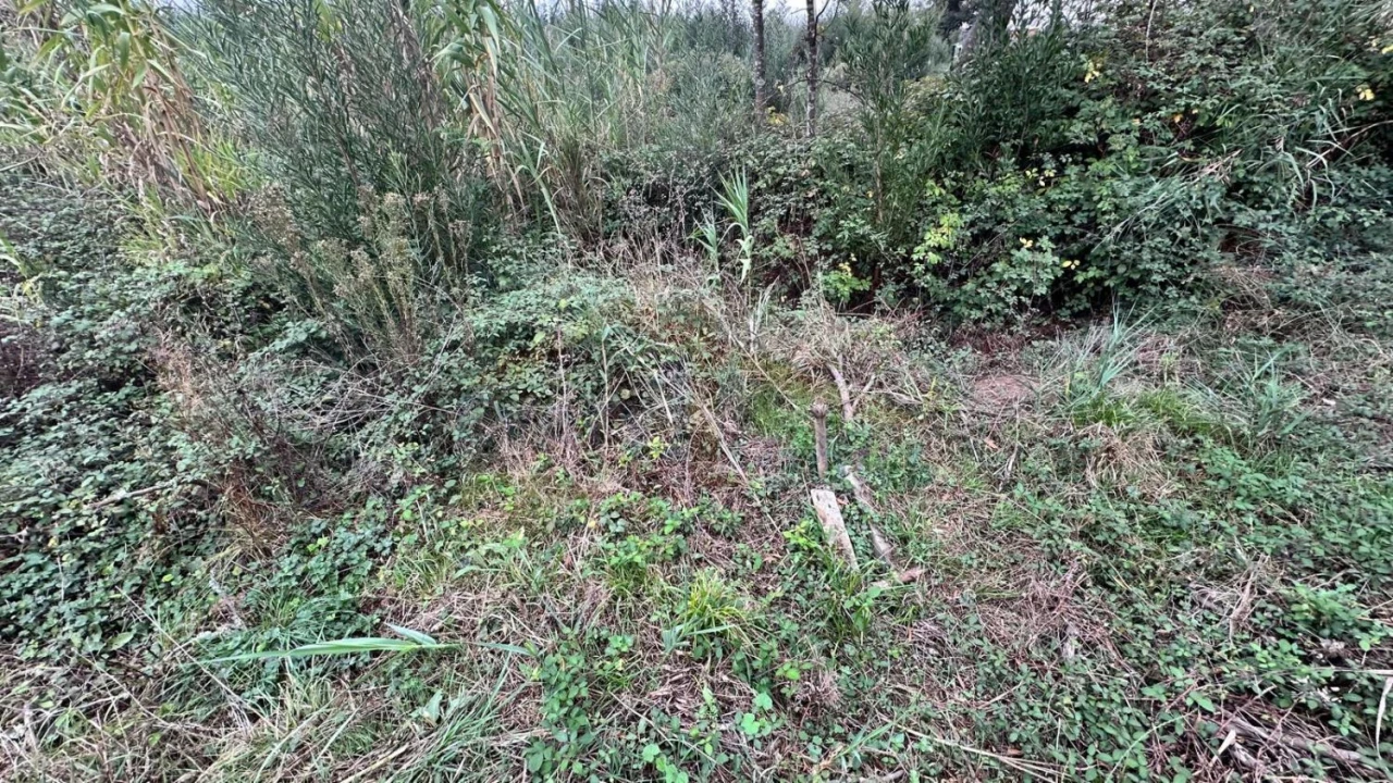 Terreno para Venda em Nossa Senhora do Pópulo, Coto e São Gregório Foto 9