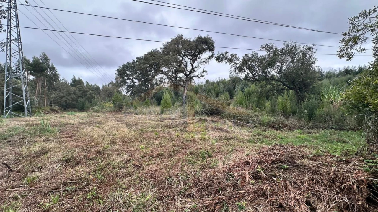 Terreno para Venda em Nossa Senhora do Pópulo, Coto e São Gregório Foto 15