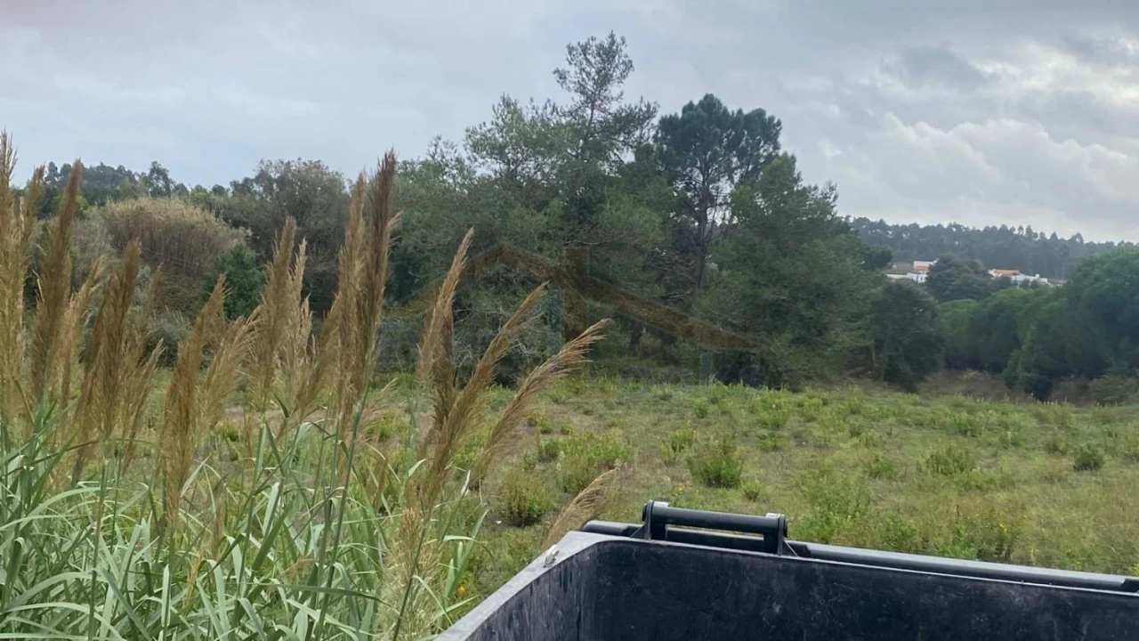 Terreno para Venda em Nossa Senhora do Pópulo, Coto e São Gregório Foto 24