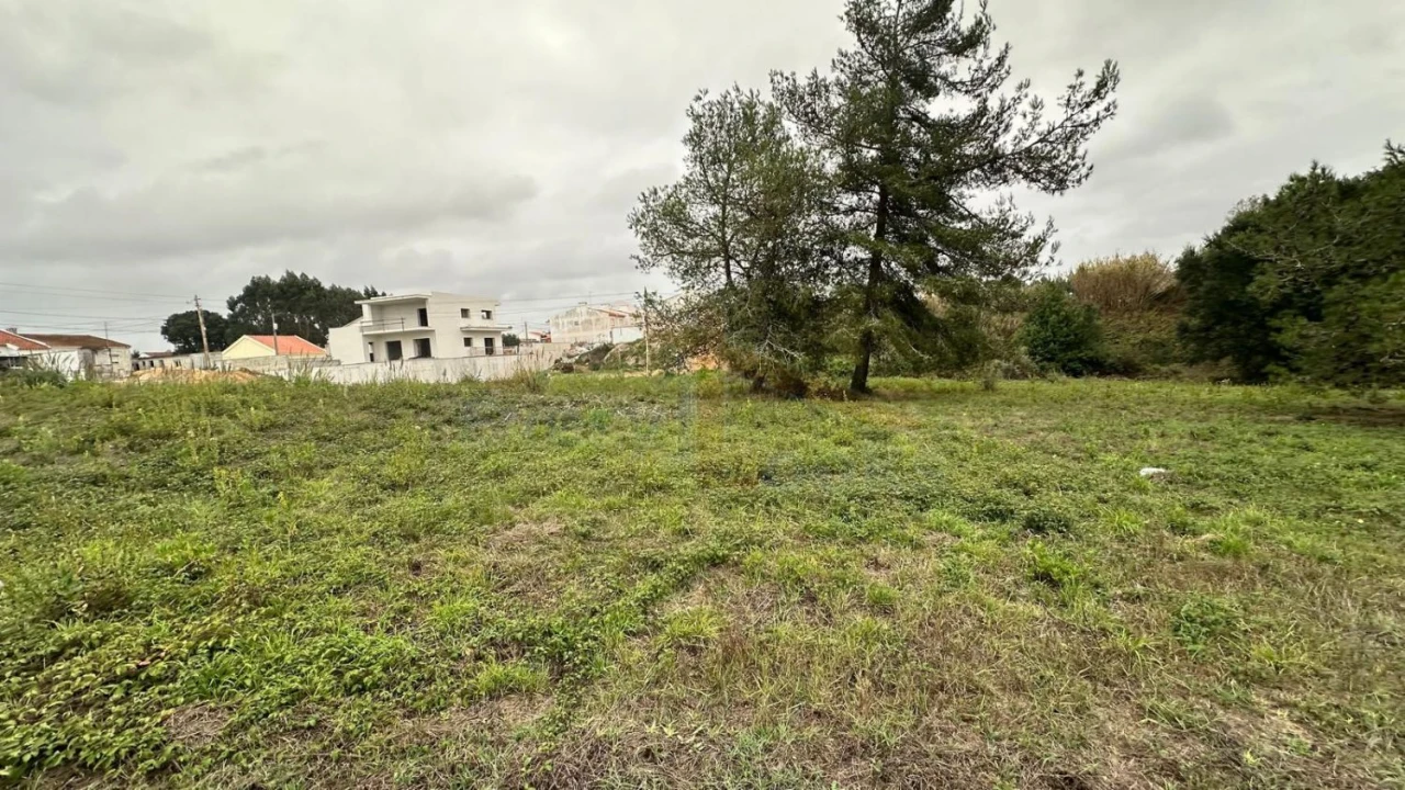 Terreno para Venda em Nossa Senhora do Pópulo, Coto e São Gregório Foto 5