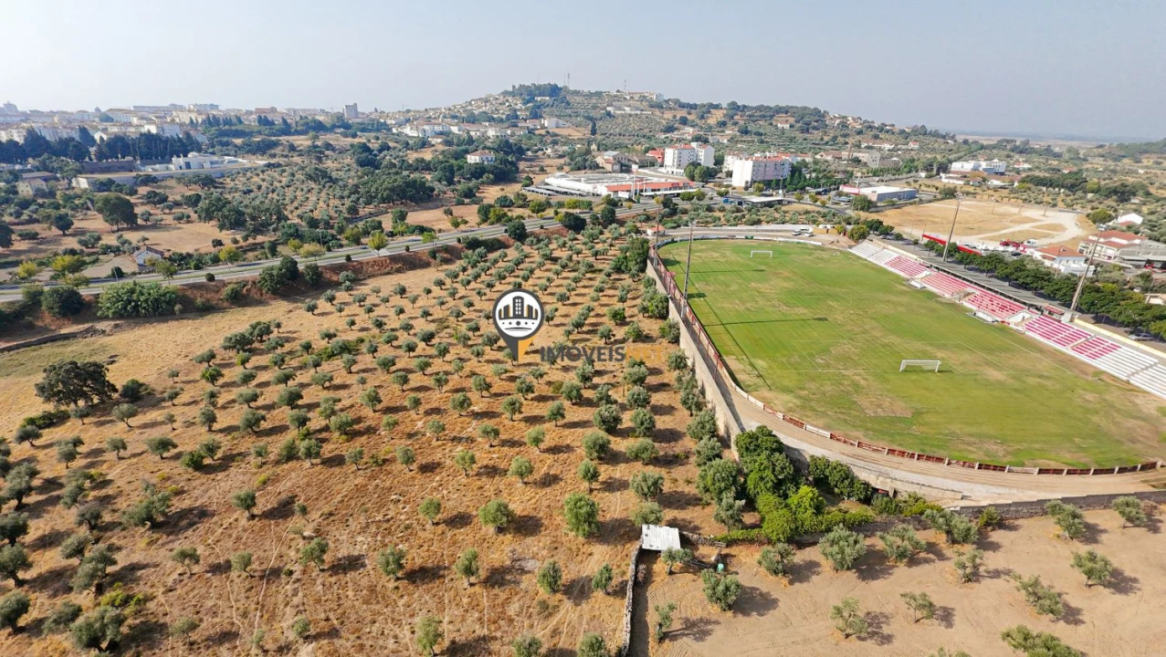 Terreno para Venda em Castelo Branco Foto 15