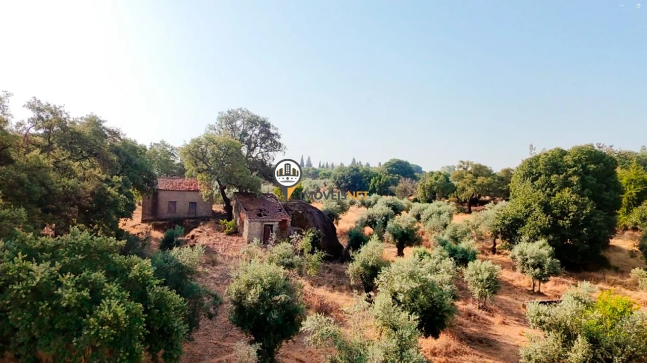 Terreno para Venda em Castelo Branco Foto 19