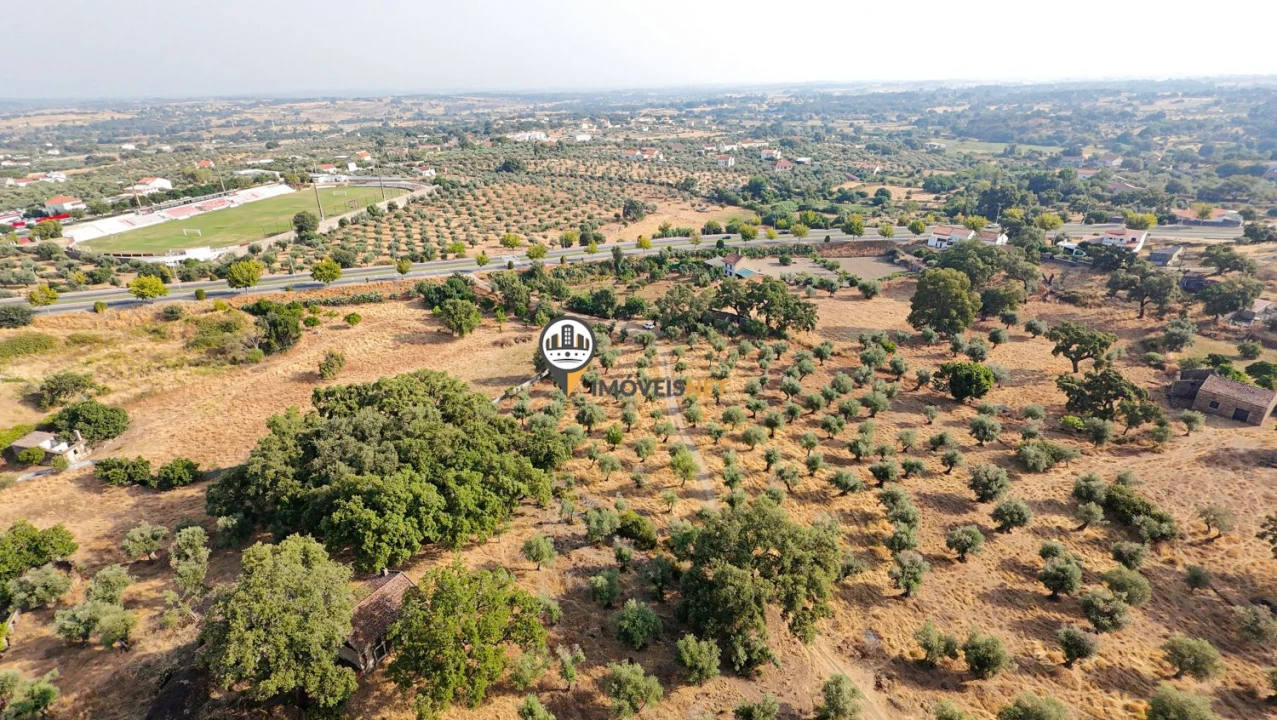 Terreno para Venda em Castelo Branco Foto 7