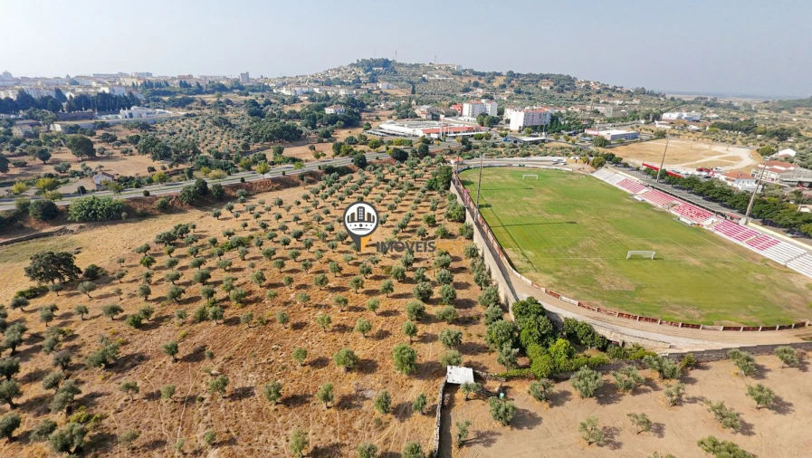 Terreno para Venda em Castelo Branco Foto 15