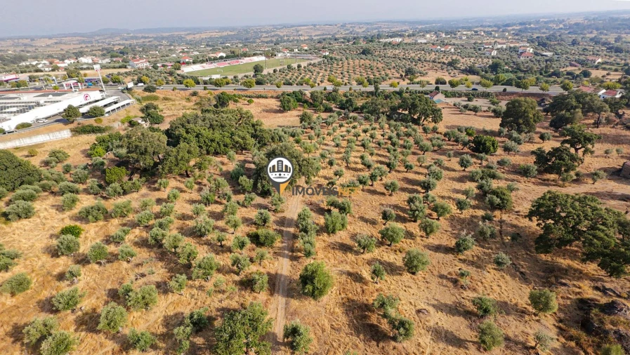Terreno para Venda em Castelo Branco Foto 10