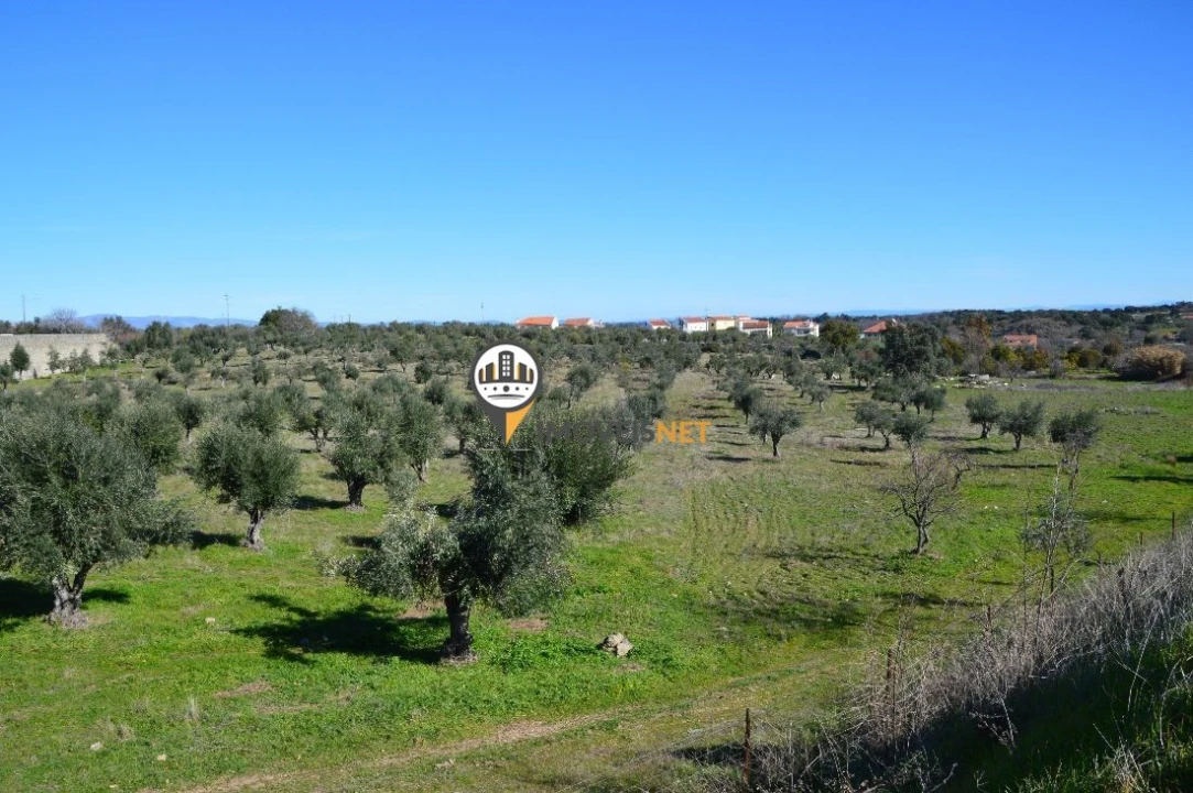 Terreno para Venda em Castelo Branco Foto 4
