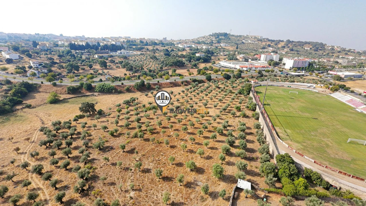 Terreno para Venda em Castelo Branco Foto 16