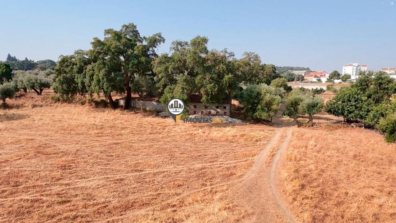 Terreno para Venda em Castelo Branco Foto 34