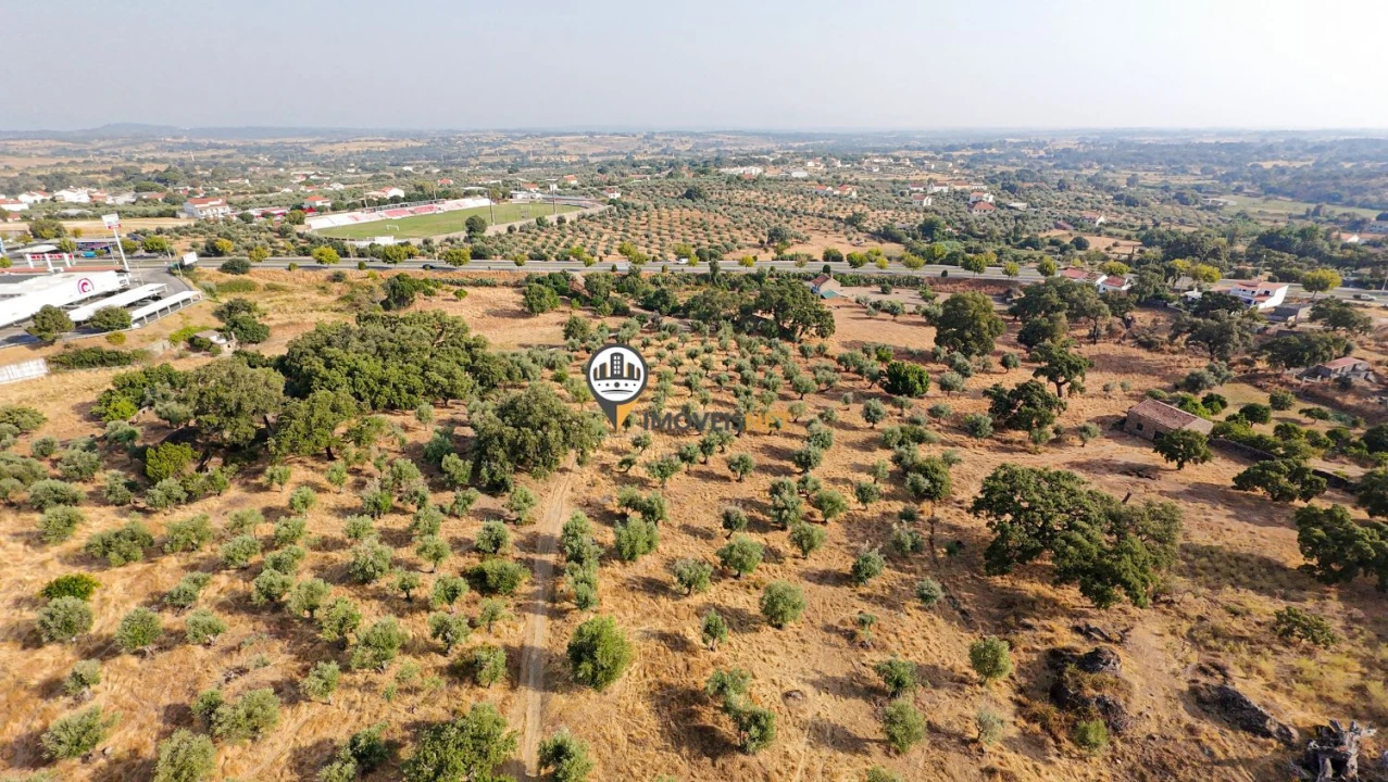 Terreno para Venda em Castelo Branco Foto 21