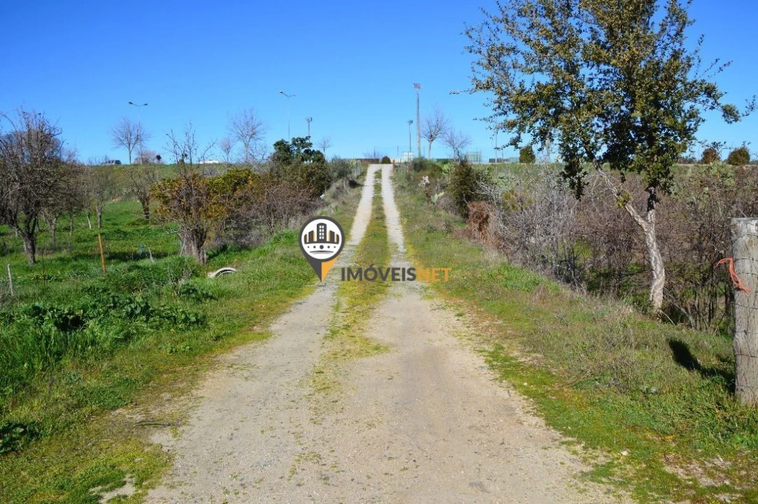 Terreno para Venda em Castelo Branco Foto 4