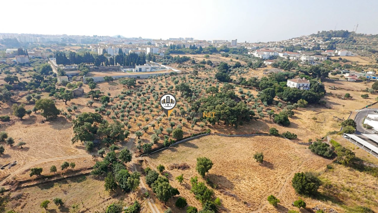 Terreno para Venda em Castelo Branco Foto 27
