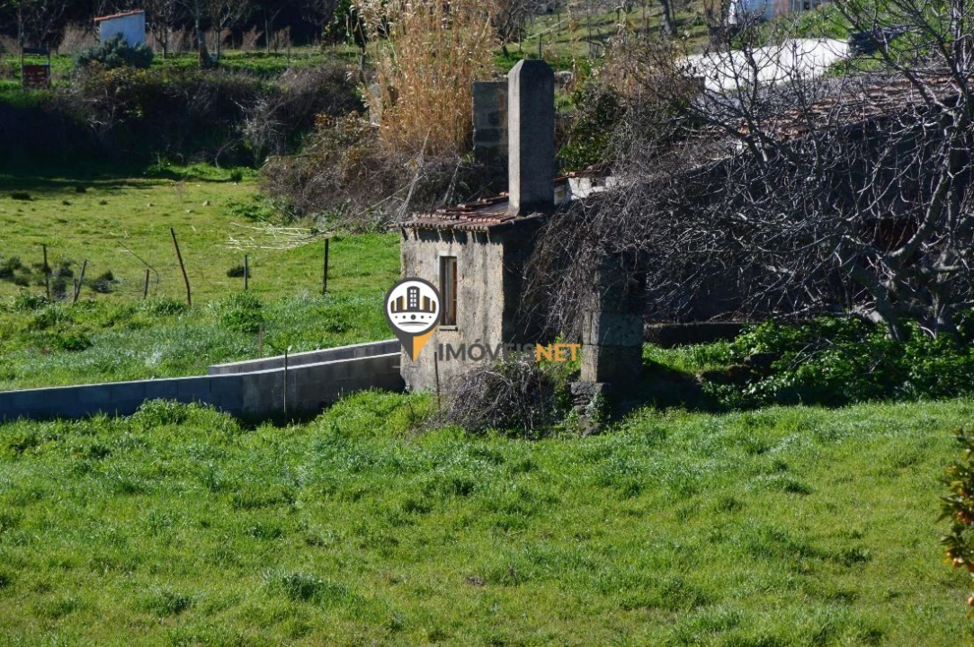Terreno para Venda em Castelo Branco Foto 3