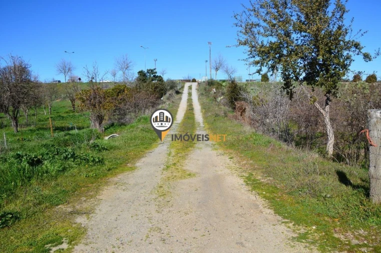 Terreno para Venda em Castelo Branco Foto 4