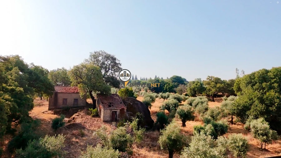 Terreno para Venda em Castelo Branco Foto 28