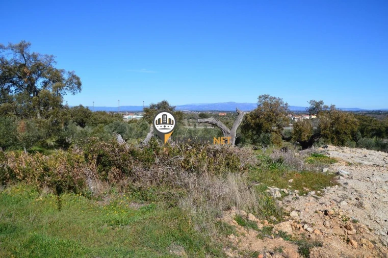 Terreno para Venda em Castelo Branco Foto 14