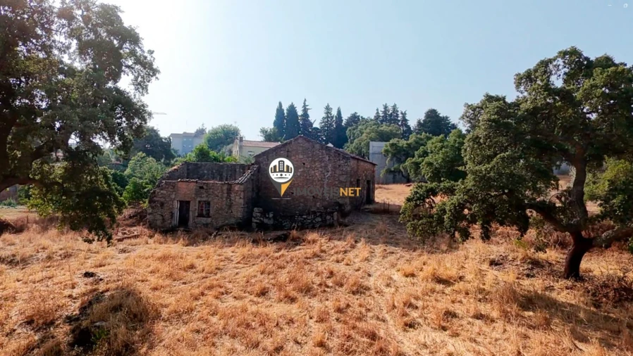 Terreno para Venda em Castelo Branco Foto 39