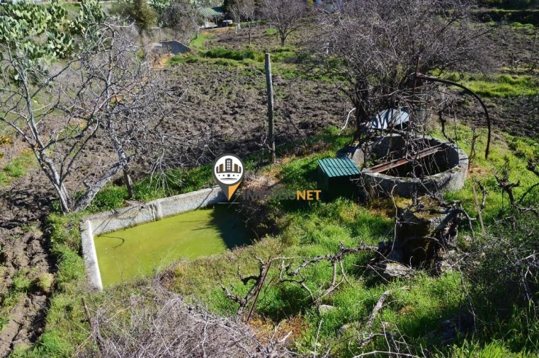 Terreno para Venda em Castelo Branco Foto 8