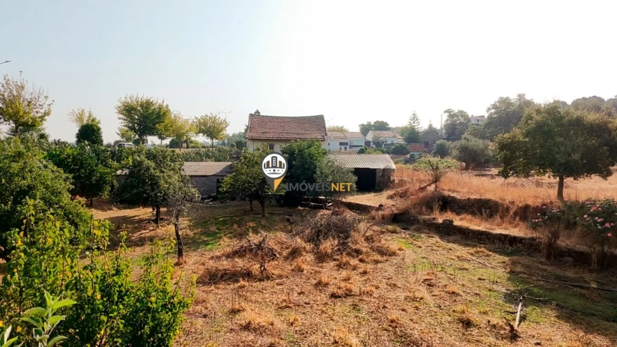 Terreno para Venda em Castelo Branco Foto 43