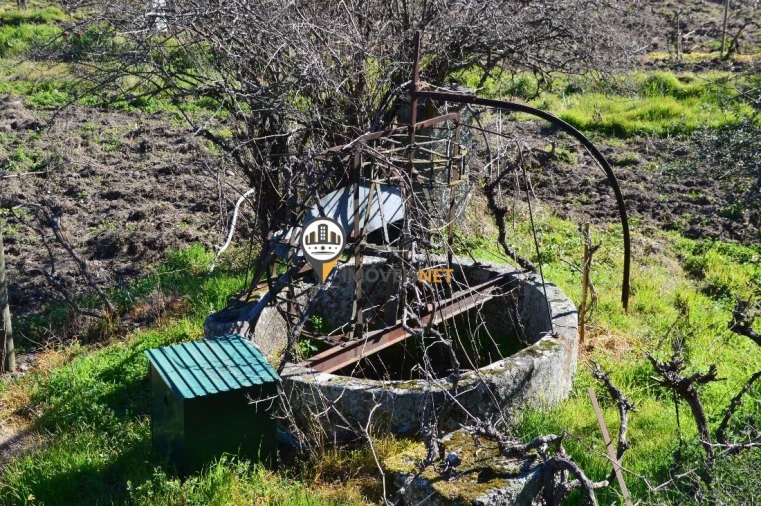 Terreno para Venda em Castelo Branco Foto 7