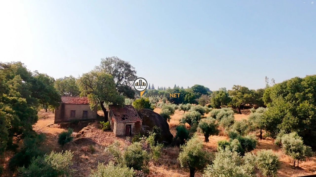 Terreno para Venda em Castelo Branco Foto 28
