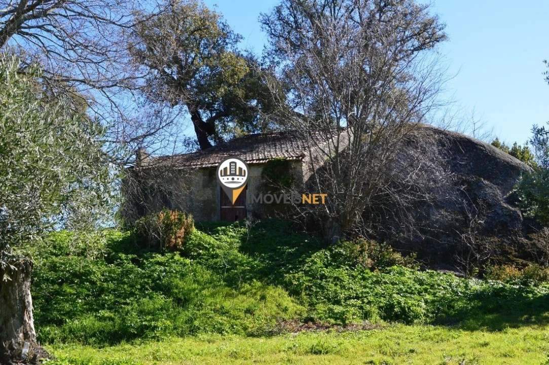 Terreno para Venda em Castelo Branco Foto 16