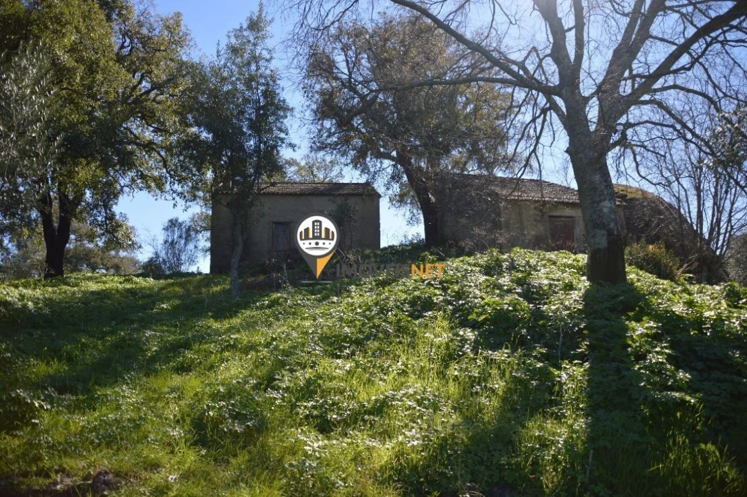 Terreno para Venda em Castelo Branco Foto 17