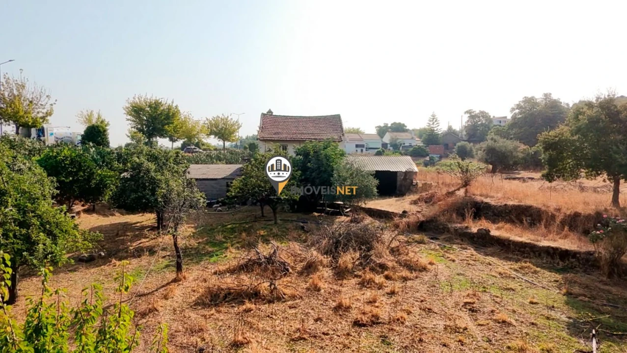 Terreno para Venda em Castelo Branco Foto 44