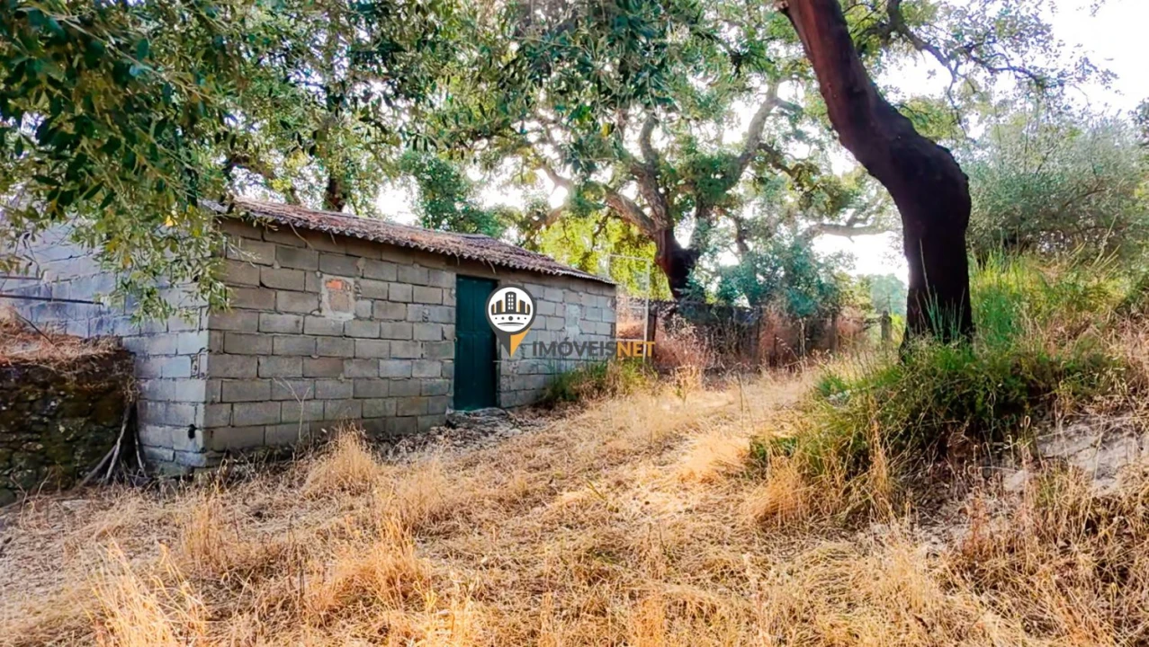 Terreno para Venda em Castelo Branco Foto 37