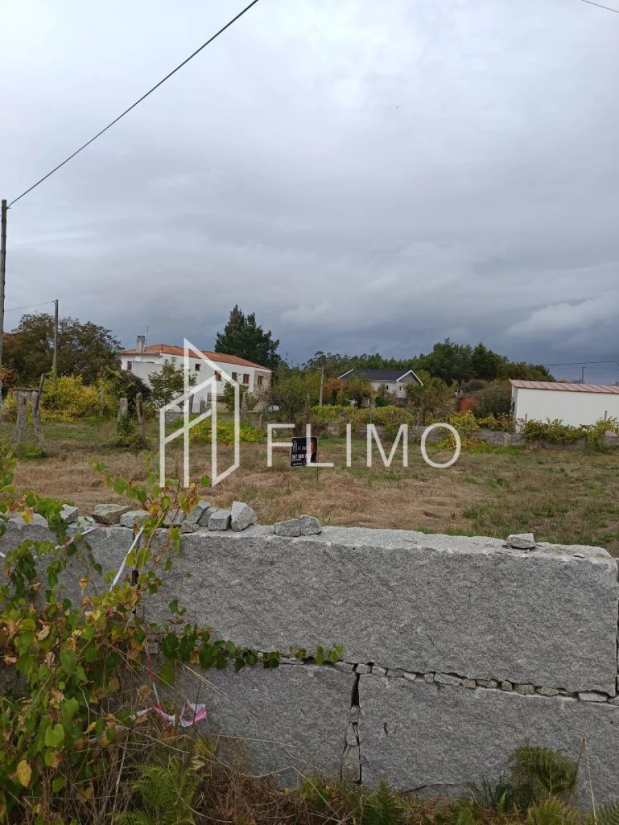 Terreno para Venda em Cambra e Carvalhal de Vermilhas Foto 5