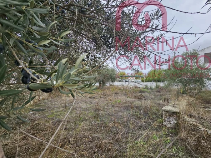 Moradia T1 para Venda em Terrugem e Vila Boim Foto 8