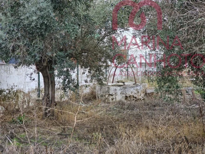 Moradia T1 para Venda em Terrugem e Vila Boim Foto 14