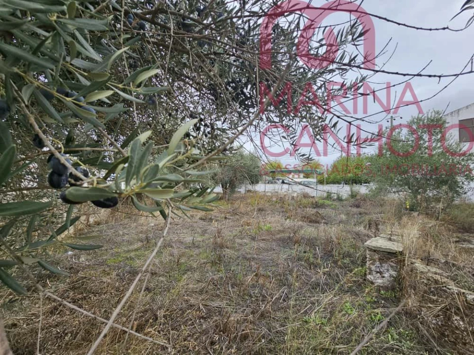 Moradia T1 para Venda em Terrugem e Vila Boim Foto 8