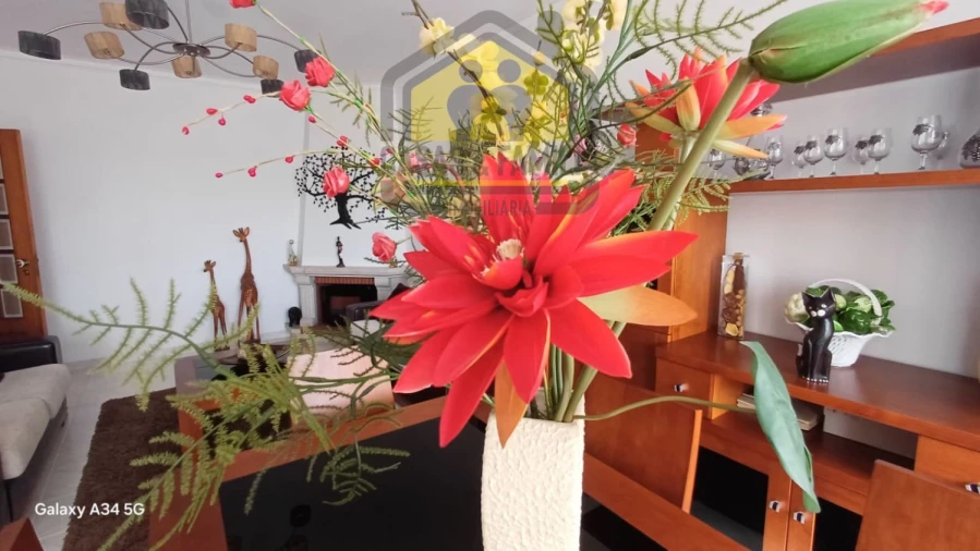 Apartamento T2 para Venda em Nossa Sra de Fatima Foto 17