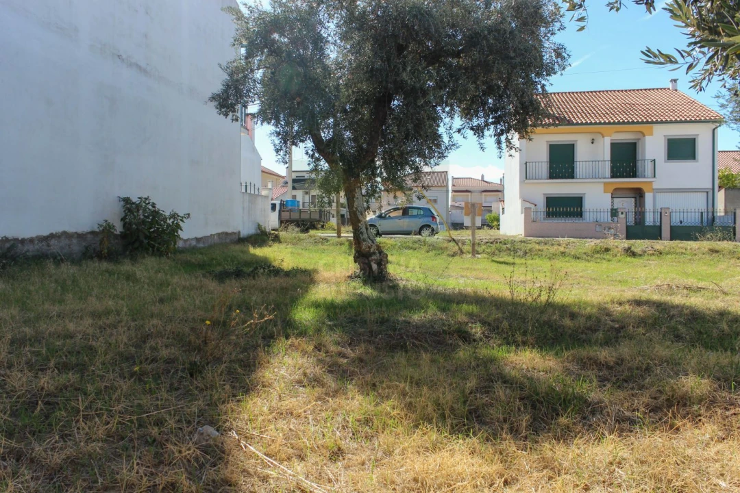 Terreno para Venda em Alcains Foto 10