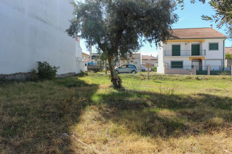 Terreno para Venda em Alcains Foto 10