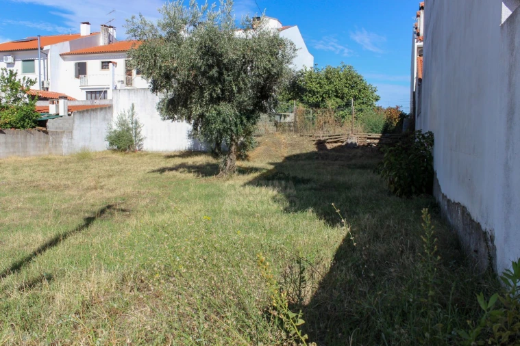 Terreno para Venda em Alcains Foto 8