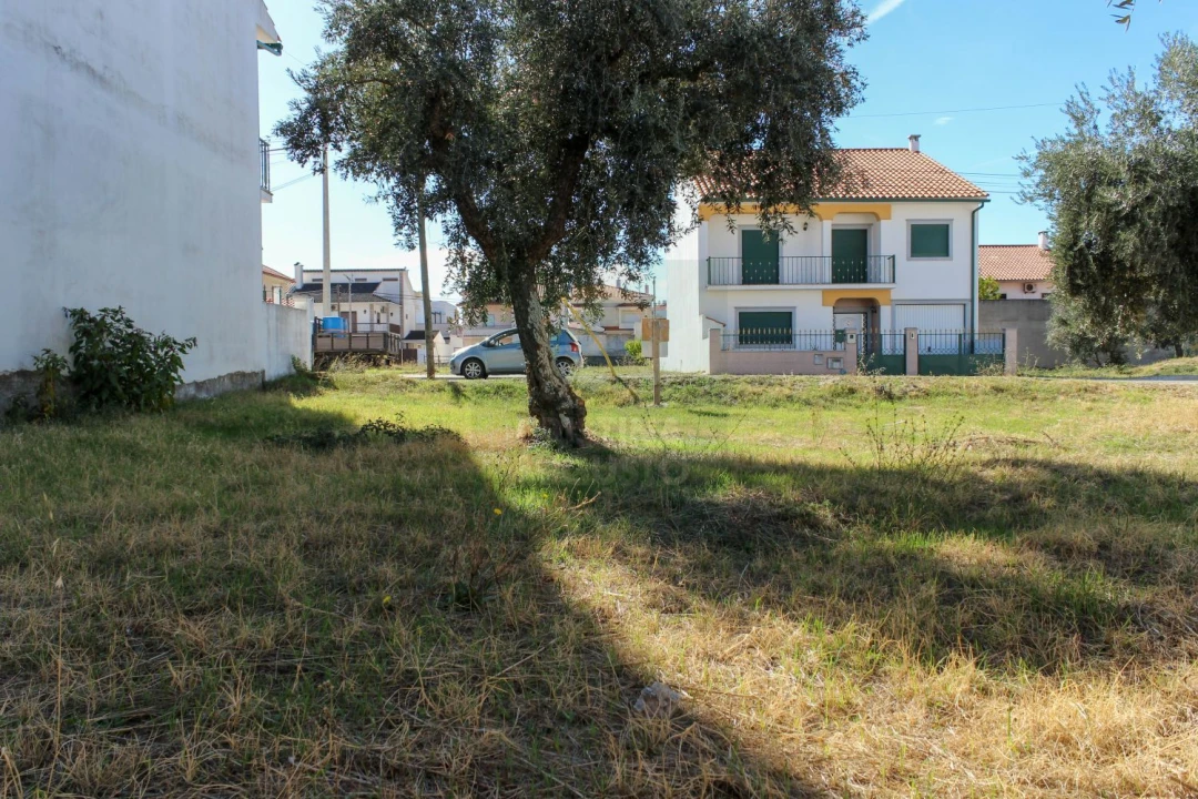 Terreno para Venda em Alcains Foto 11