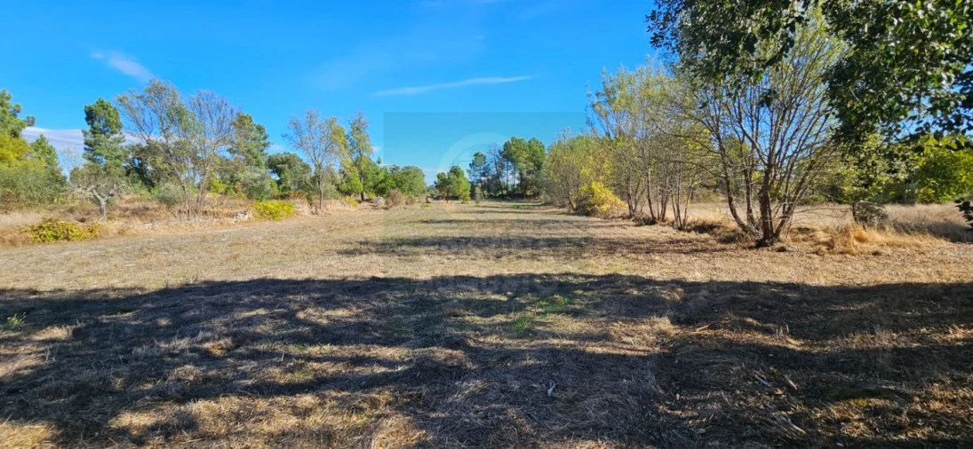 Terreno para Venda em Póvoa de Rio de Moinhos e Cafede Foto 4