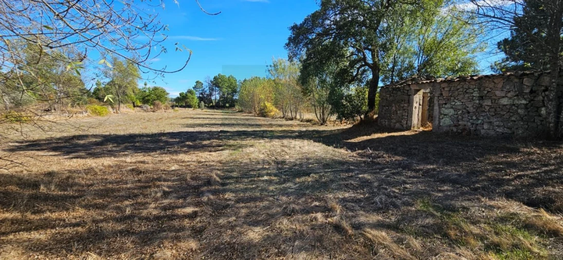 Terreno para Venda em Póvoa de Rio de Moinhos e Cafede Foto 13