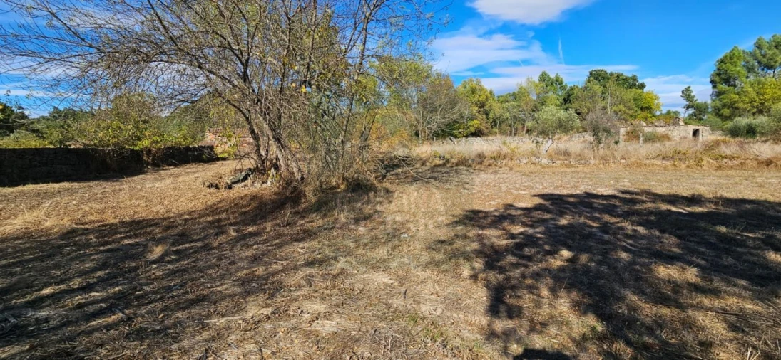 Terreno para Venda em Póvoa de Rio de Moinhos e Cafede Foto 3