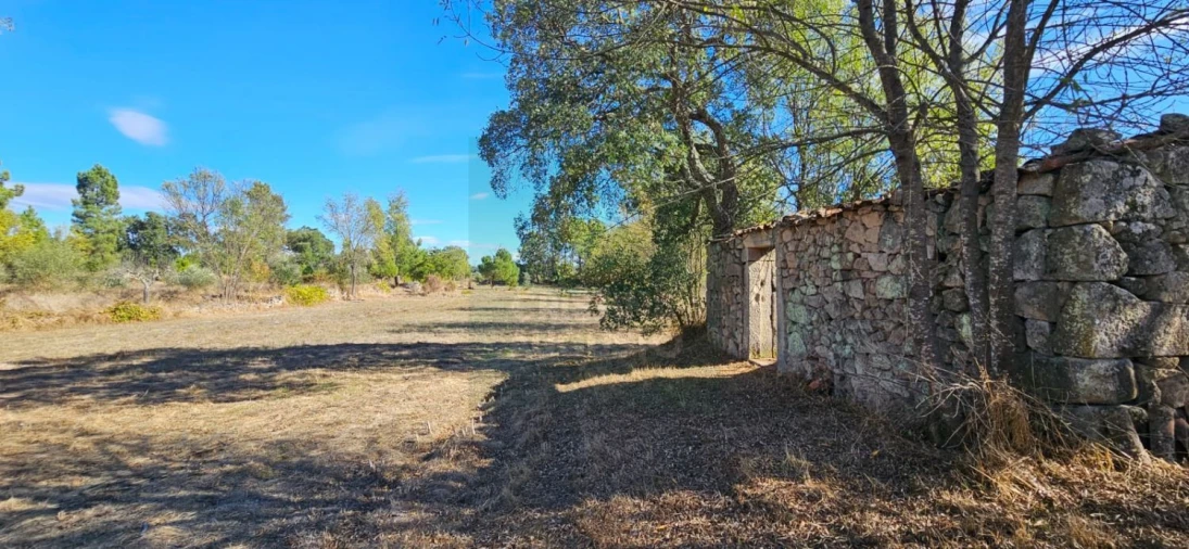 Terreno para Venda em Póvoa de Rio de Moinhos e Cafede Foto 5