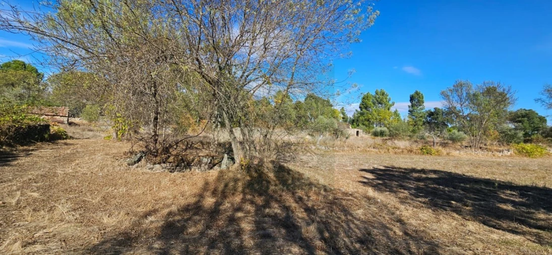 Terreno para Venda em Póvoa de Rio de Moinhos e Cafede Foto 12