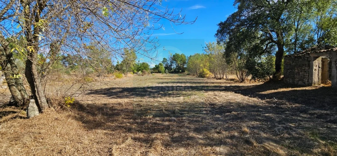 Terreno para Venda em Póvoa de Rio de Moinhos e Cafede Foto 11