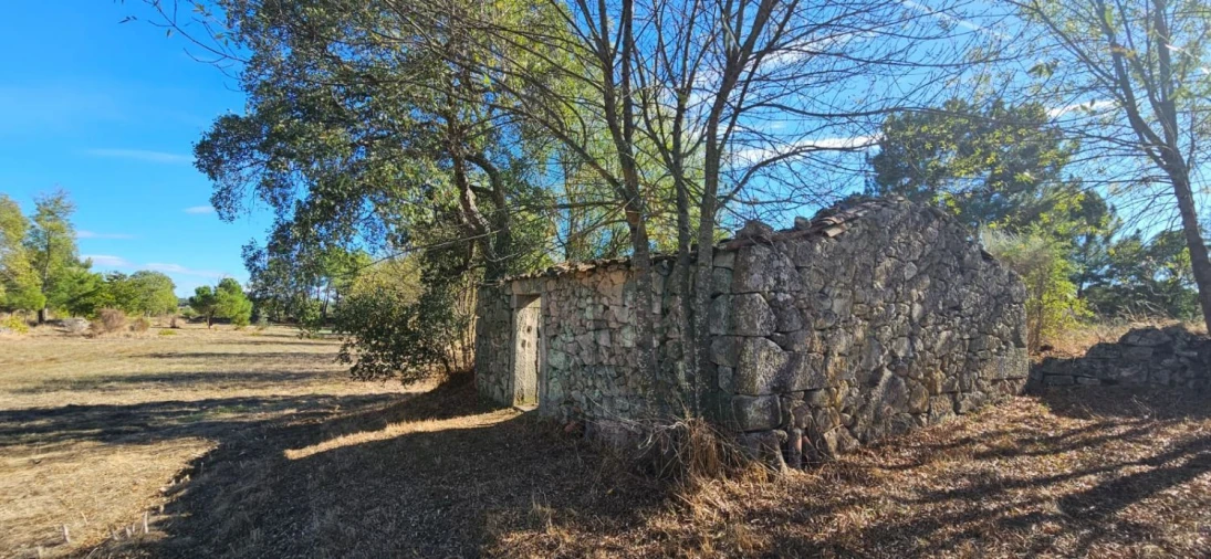 Terreno para Venda em Póvoa de Rio de Moinhos e Cafede Foto 7